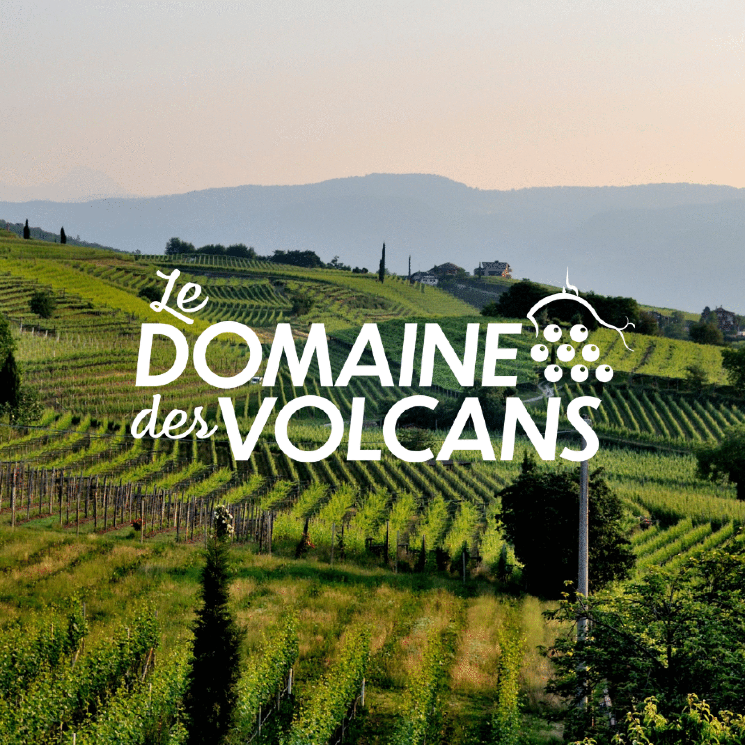 domaine-des-volcans