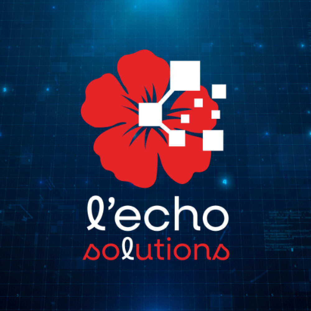 Graphiste à Clermont-Ferrand : création du logo pour l'Echo Solutuions
