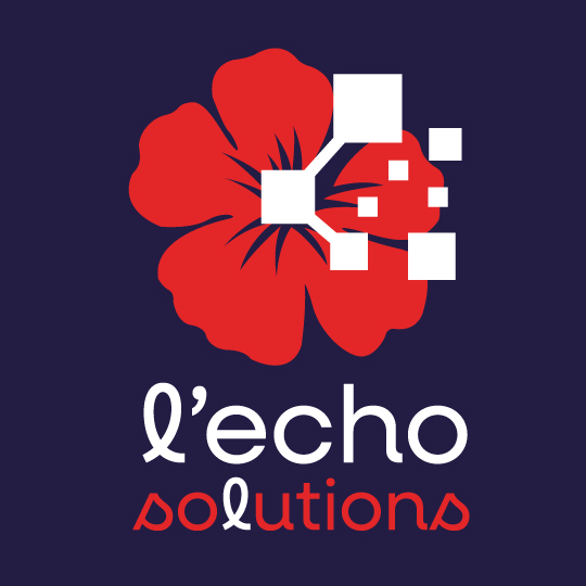 Identité visuelle à Clermont-Ferrand : Echo solutions
