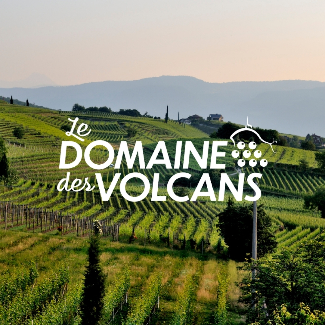 Design sans titre - 5