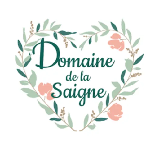 Création identité visuelle à Vichy : photo de l'ancien logo du domaine de la Saigne
