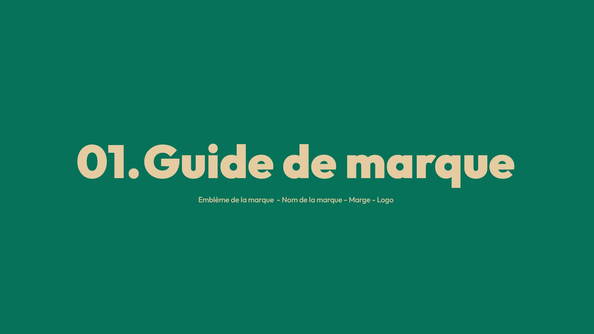 Création identité visuelle à Vichy : Charte graphique la Saigne, guide de marque.