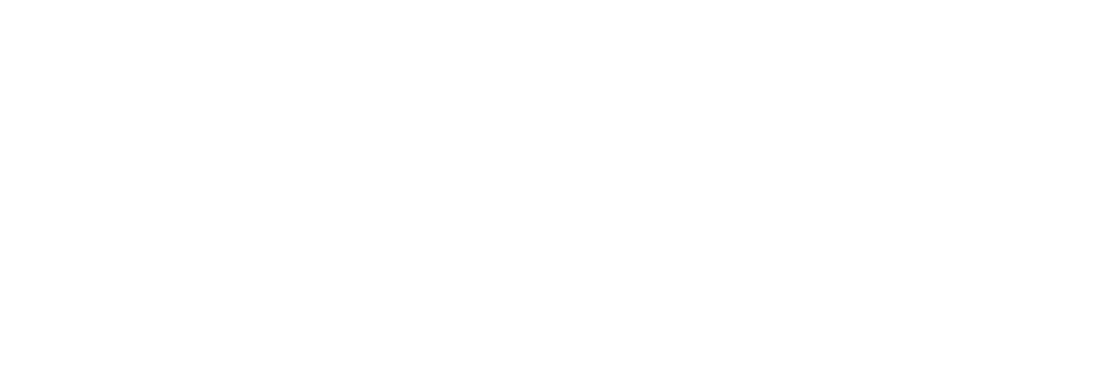 Création d'une identité visuelle à Vichy : Descriptif de la composition des proposition de logo autour du blason familiale.