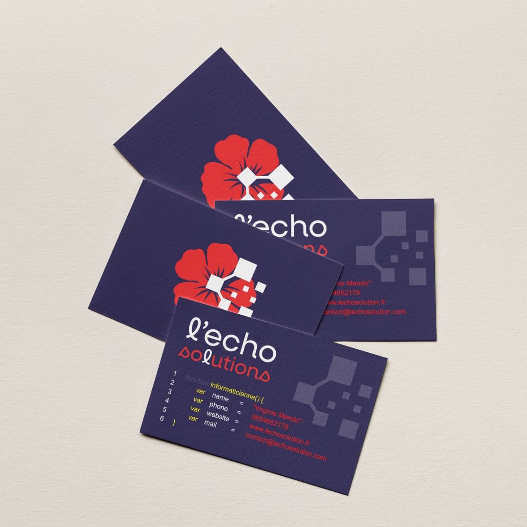 Carte de visite L'écho Solutions