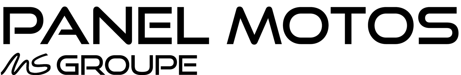 Logo Panel Groupe
